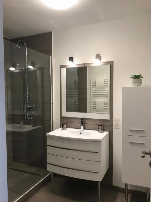 Roanne-centre appartement