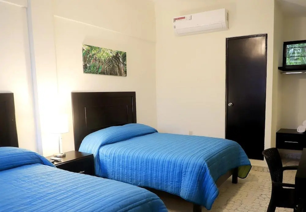 Hotel Avenida Express