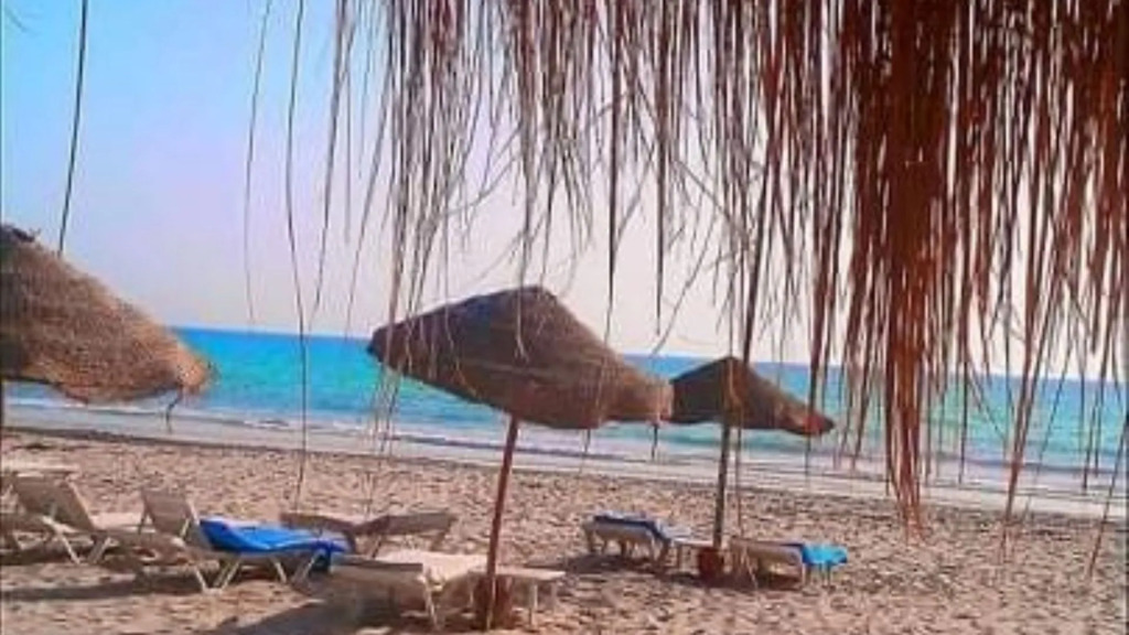 Zenon Djerba