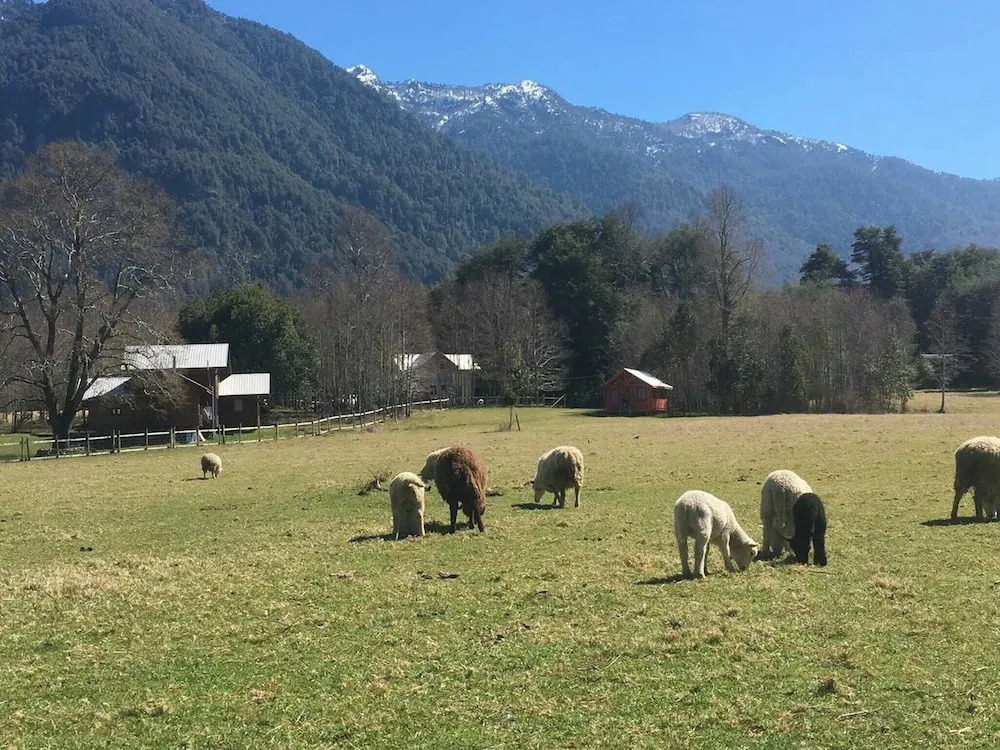 Cabana En La Pradera Lindo Paisaje En Pucon