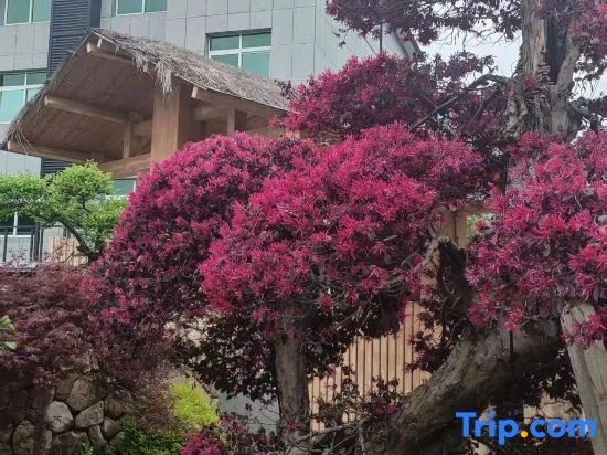 Huxiao Gorge Rafting | Cilin Xiaozhu Mountain Residence Chinese Inn