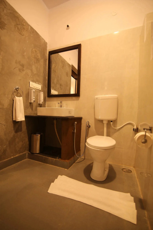 Hampi’s Feathers Resort