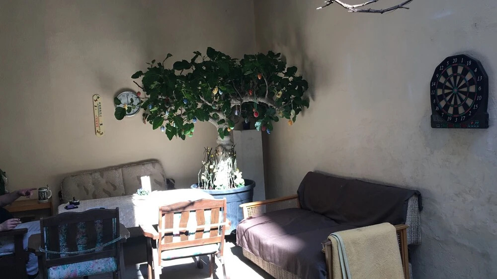 City Apartment