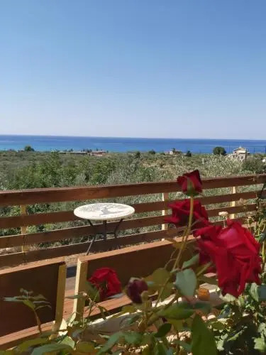 Riza Apartments