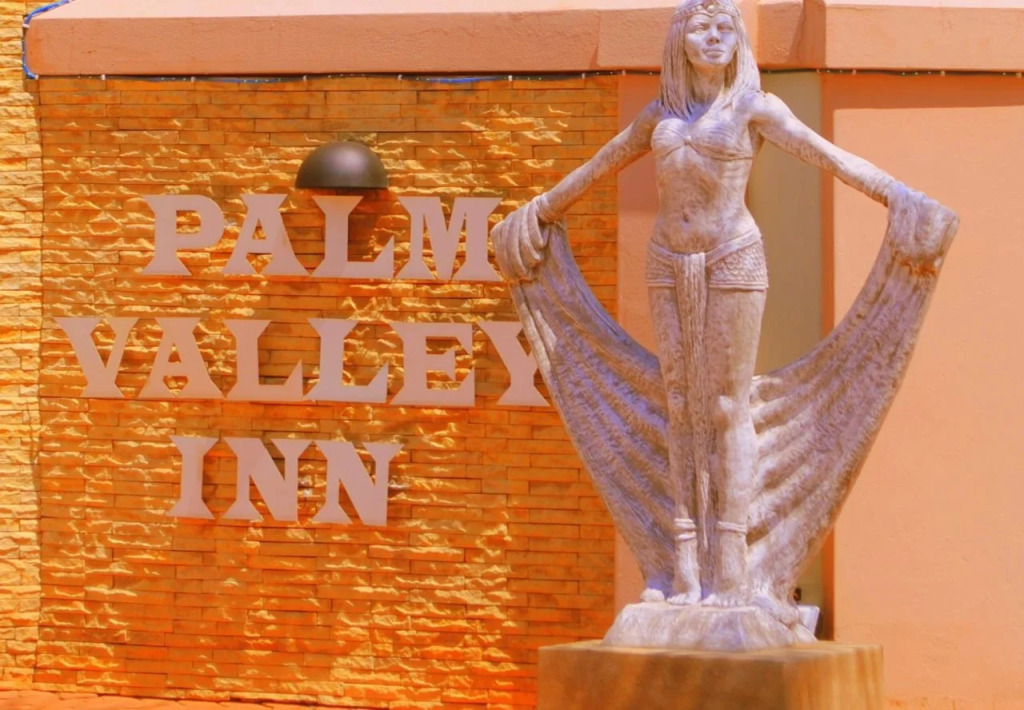 Palm valley