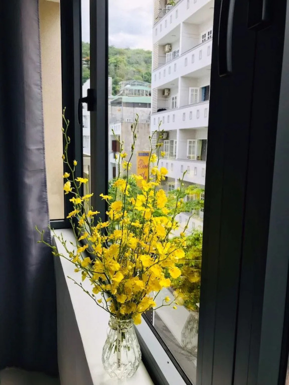 Nhat Thu Hotel & Apartment