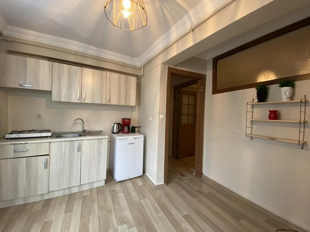 Distinguished Flat Near Pera Museum in Beyoglu