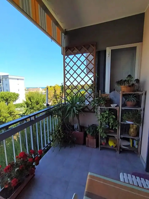 Paky's House