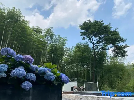 Four Seasons’ Wind HomeStay