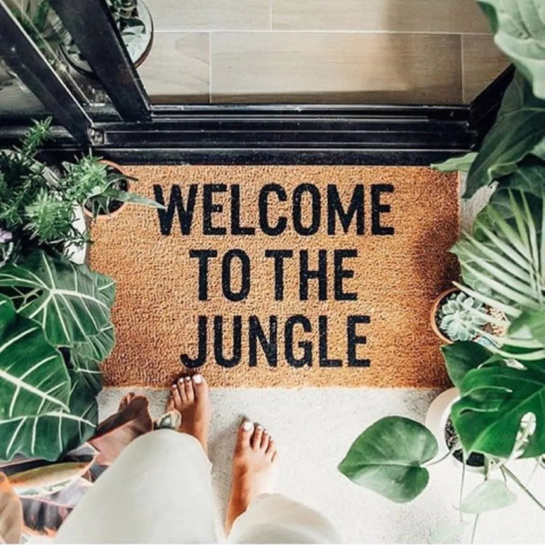 The Urban Jungle Hostel