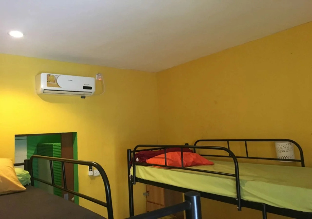 Cheeky Piggy Hostel