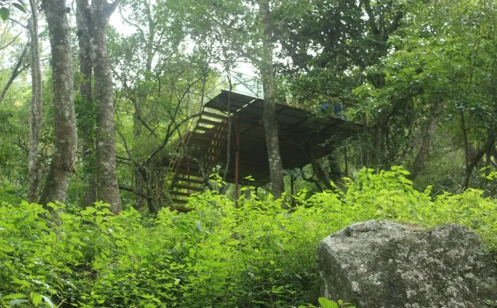 Secret Valley Jungle Resort