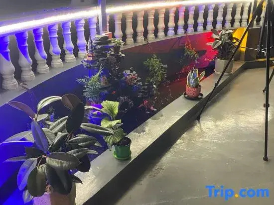 Shanghai Xinyayishu Homestay