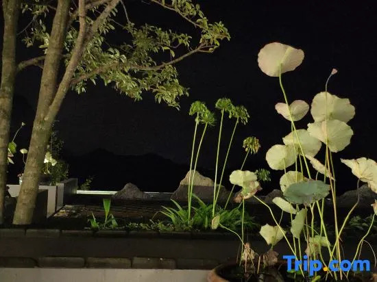 Mount Qingcheng Yunyin · Qingcheng Homestay