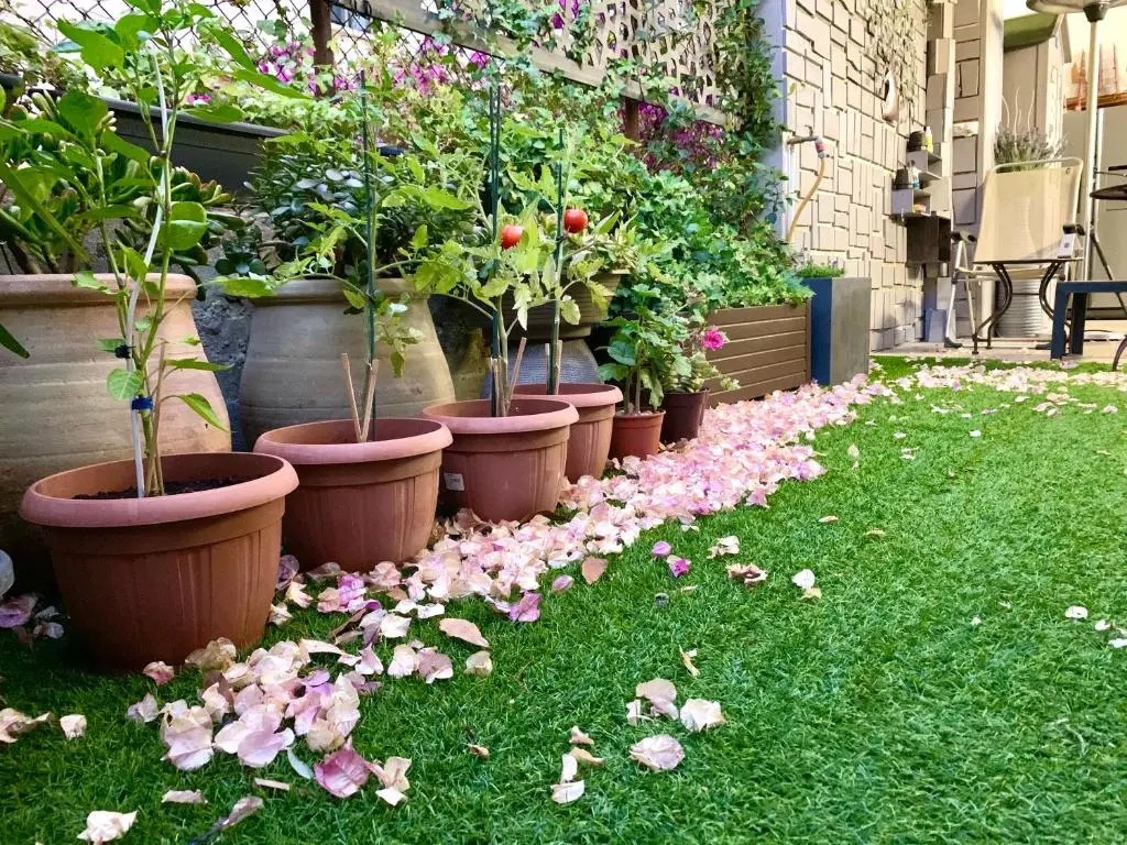 Cannes 250m2 - 8mn Walking distance Palais Festivals and Beach