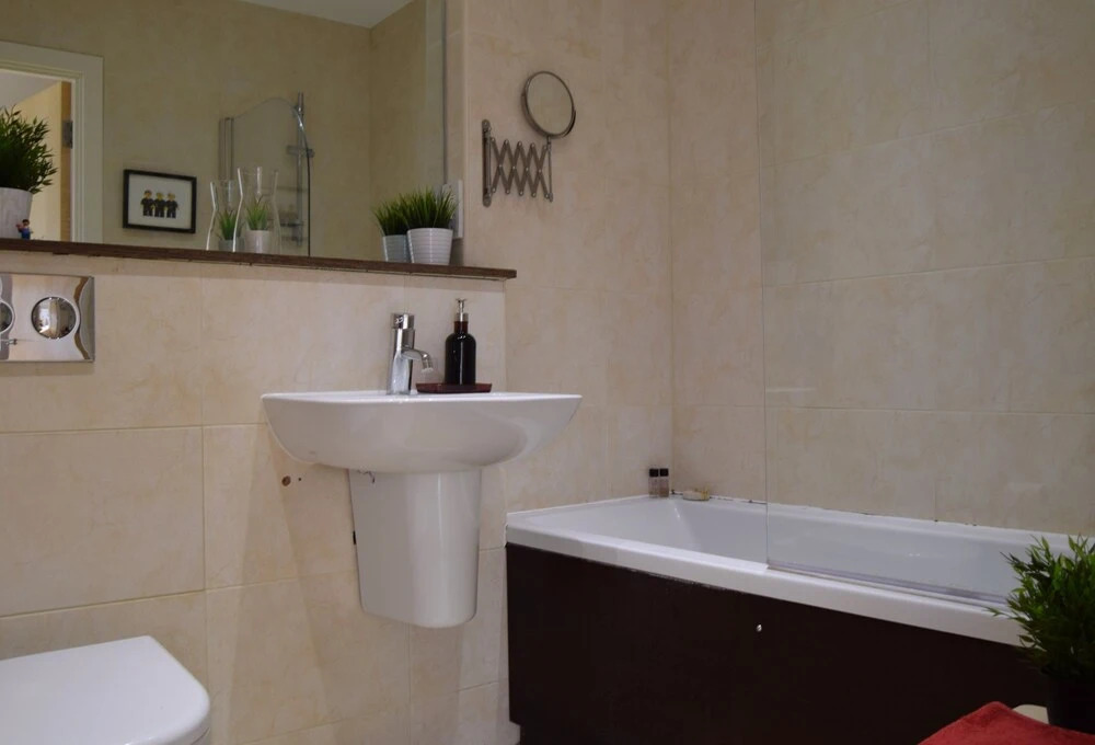 City Views 1 Bedroom Apartment in Shadwell