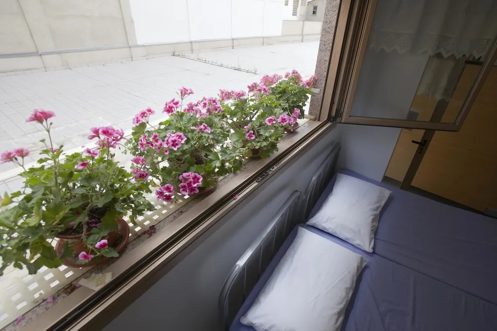 Albergue Albas EXCLUSIVO para Peregrinos