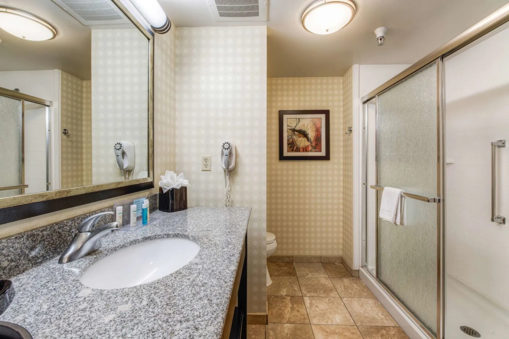 Hampton Inn & Suites Detroit/Airport Romulus