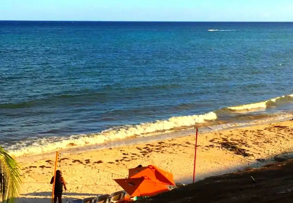 Tribe on the Beach