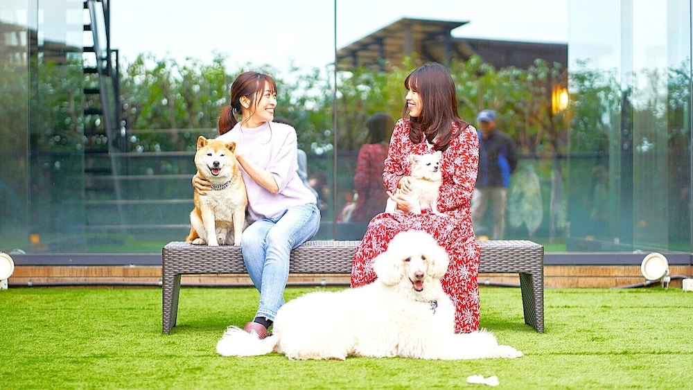 LiVEMAX Resort Izu Kogen Terrace & Spa