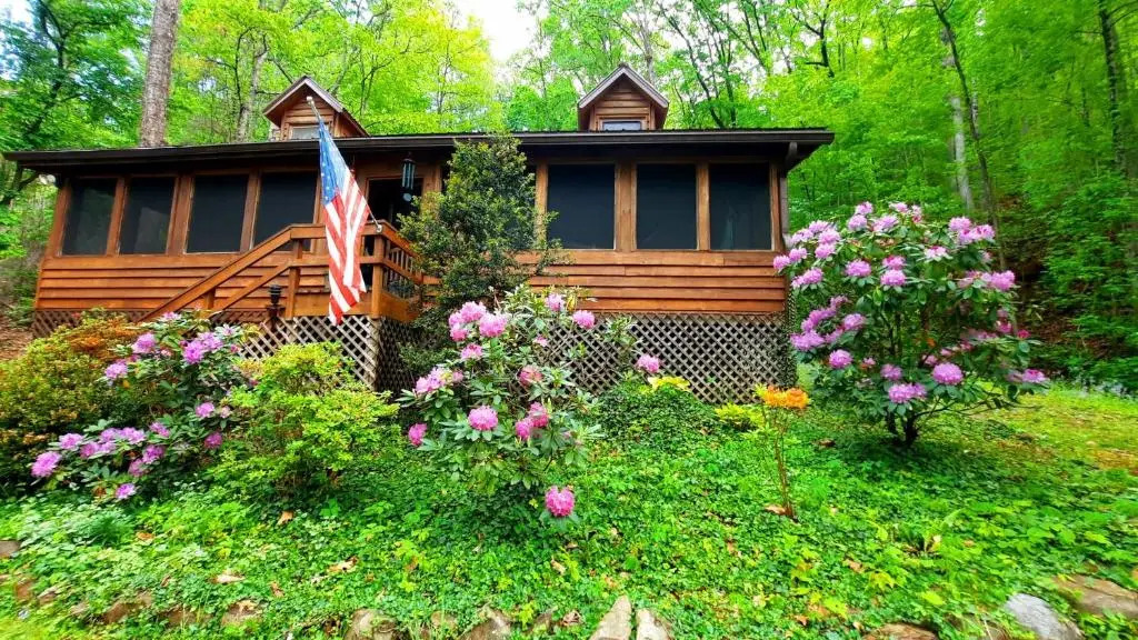 The Mountain Forager Cabin, Whitewater Rafting, Polar Express, Hot Tub, Home Gym