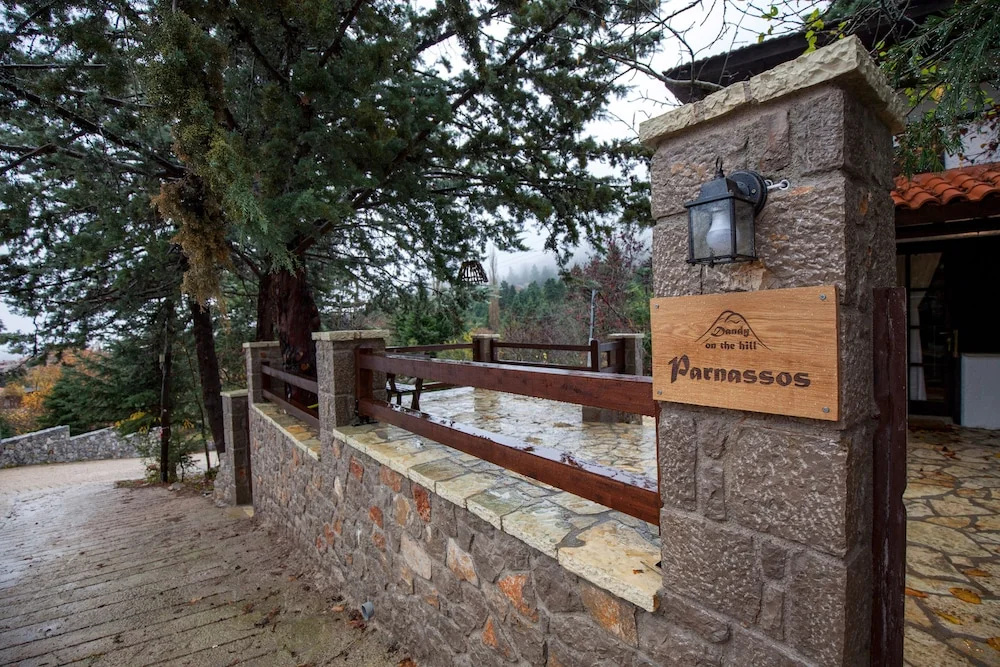 Dandy Villas Agoriani - Chalet Erato - Fireplace