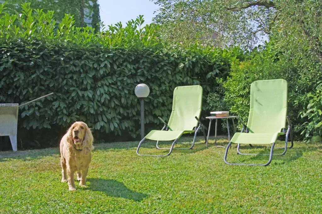 Cà Marcon