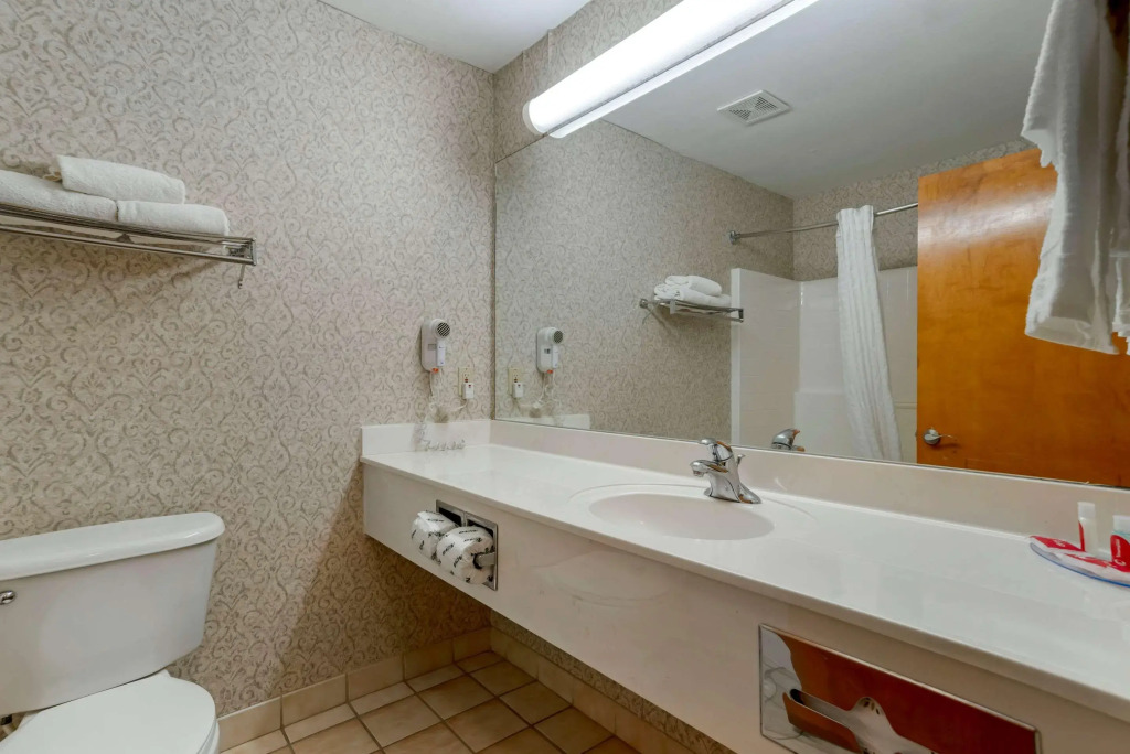 Econo Lodge Inn & Suites Flowood - Jackson Northeast