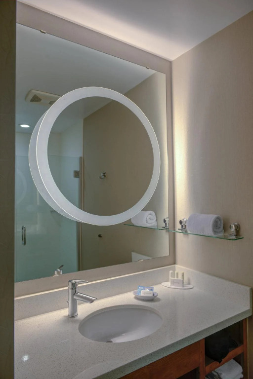 SpringHill Suites by Marriott Macon