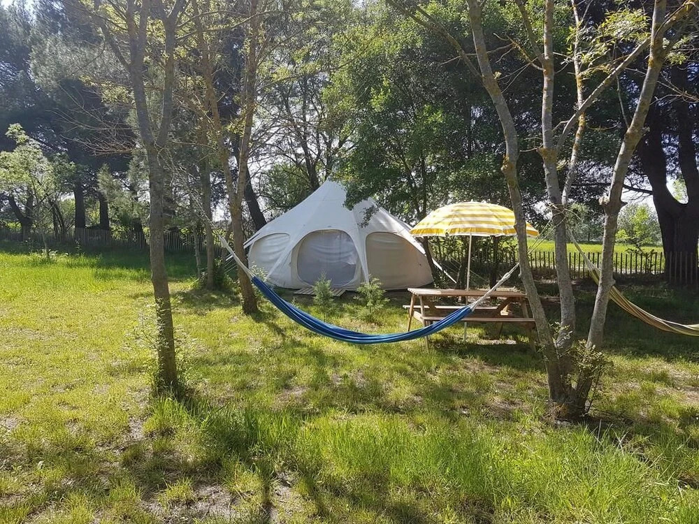 Asinerie Analaya