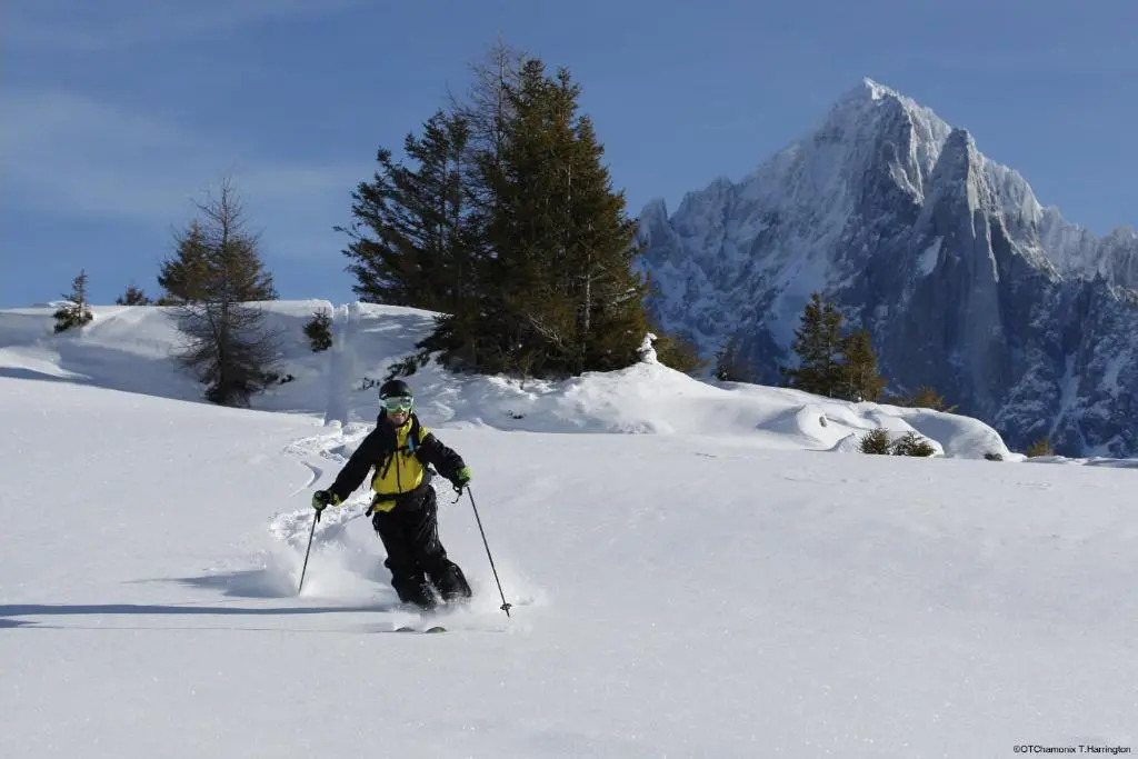 Villa Mon Idee Appt 1 - Chamonix All Year