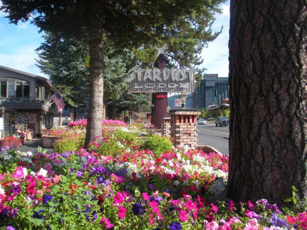 Stardust Lodge