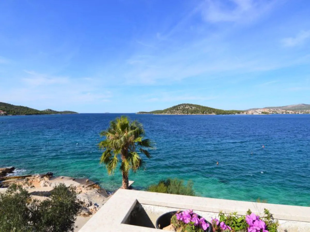 Galeb (ROZ101)