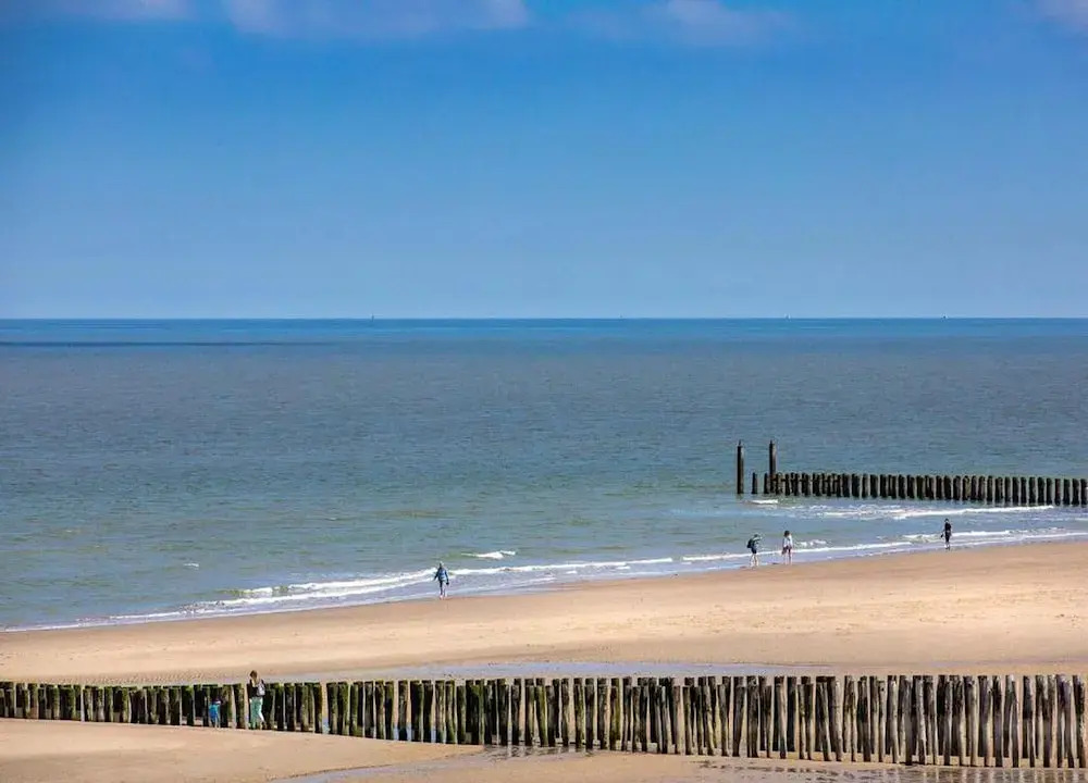 Studio in Domburg near Beach and Nature Reserve