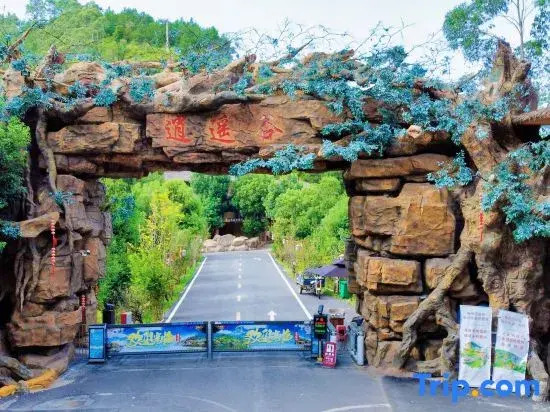 Xingning Xiaoyaogu Homestay