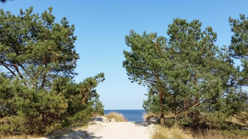 Fewo Ostseeperle 14_QUAP