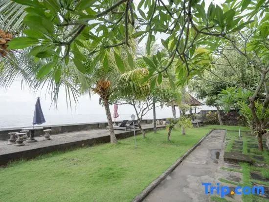 Rommeo Inn Lovina Mitra RedDoorz