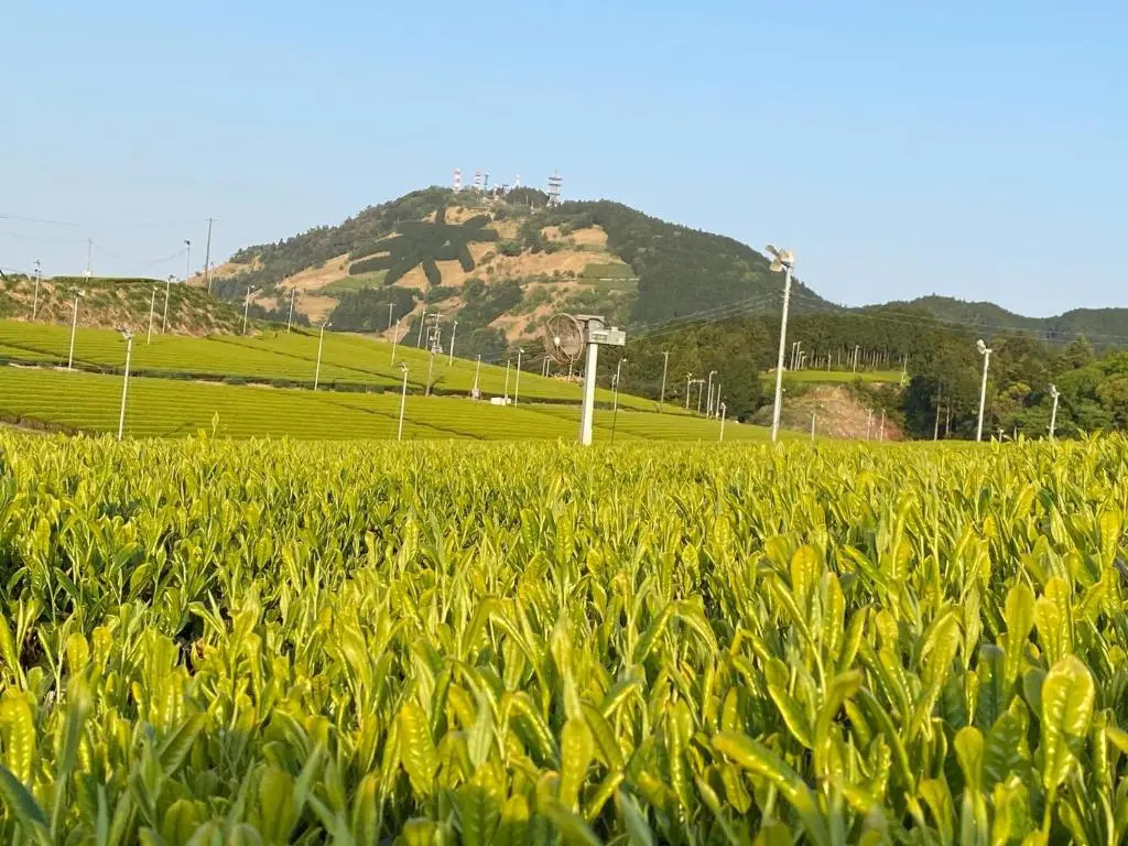 Tabinoya - Vacation STAY 69884v