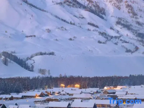 Hemu Youyuan Chalet Forest B&B