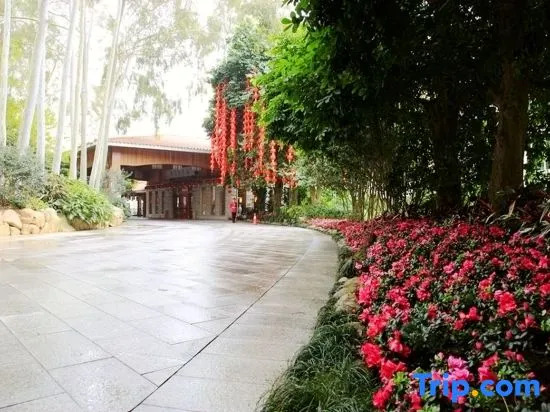 Yannanfei Weilong Hotel