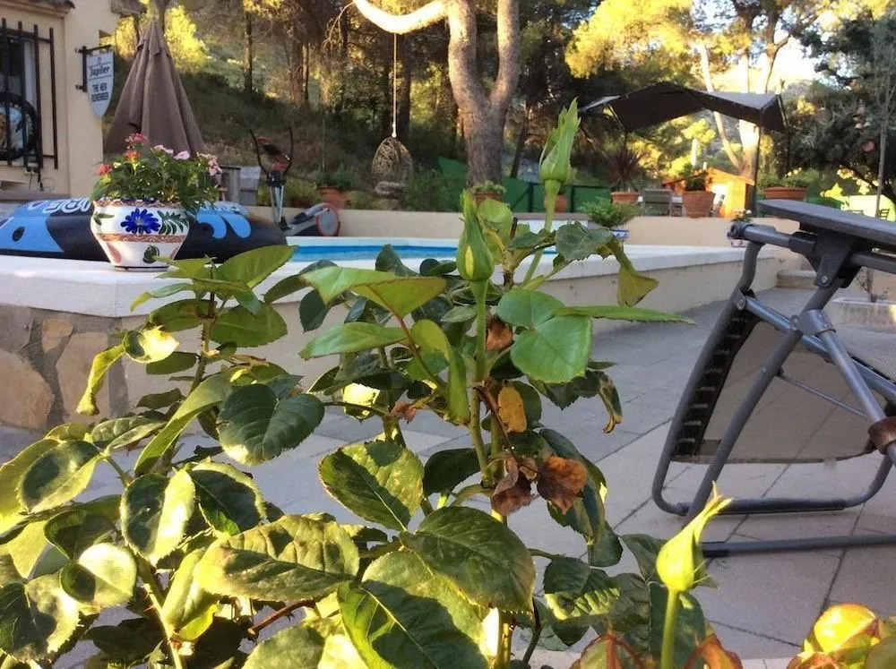 Casa Jetizo