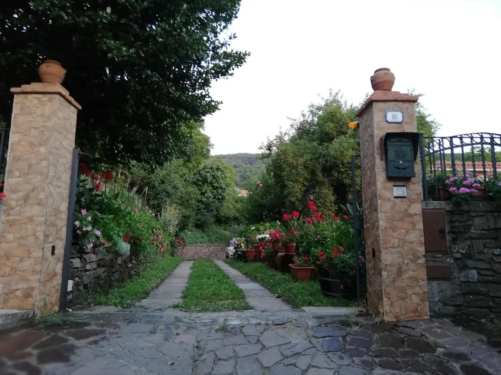L'Agrifoglio