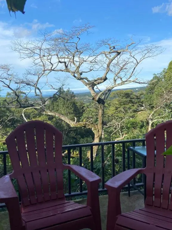 The Garden Apartment at The Hacienda