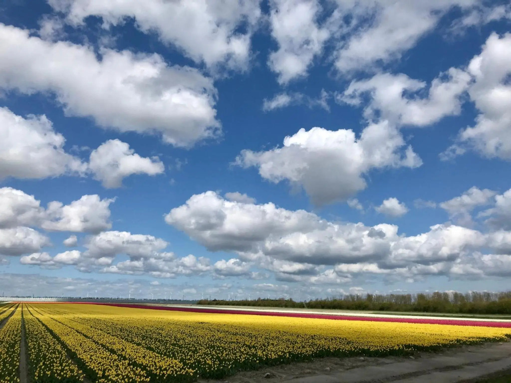 Landelijk gelegen vakantiewoning