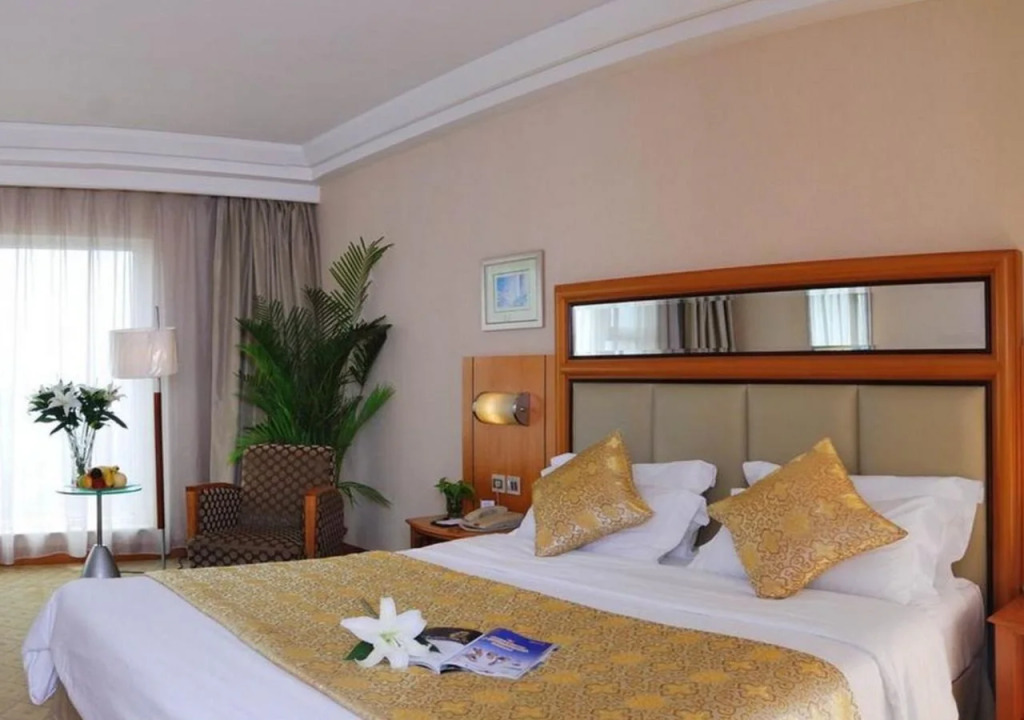 Wuhan Mayflowers Hotel (Wuchang Railway Station Zhongnan Road Metro Station Branch)