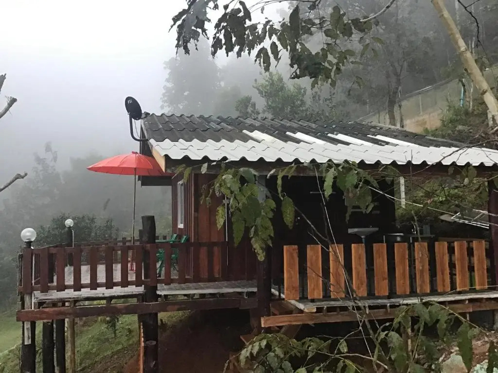 Forest Guesthouse