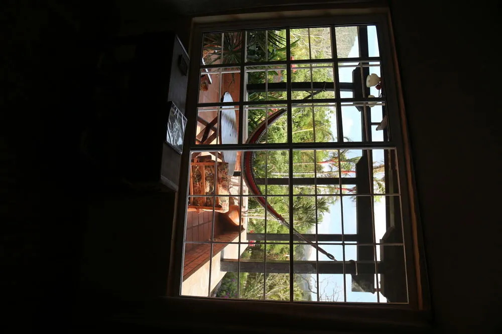 The Golden Frog Inn