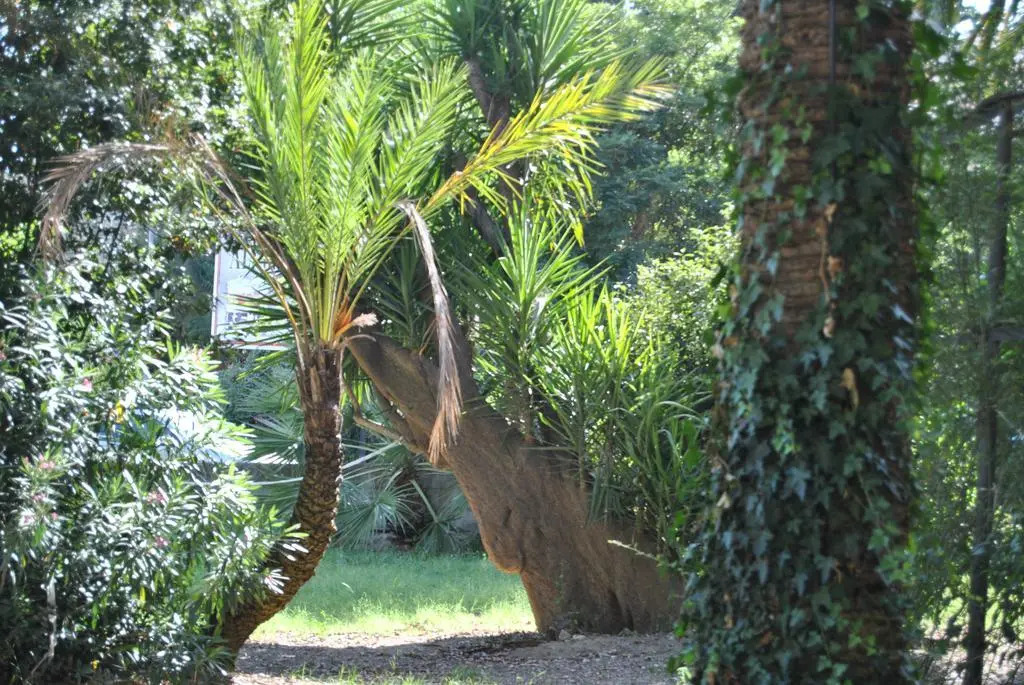 B&B Villa Fiocchi