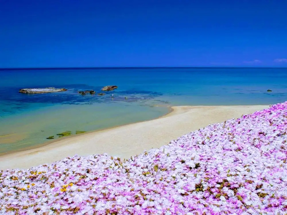 Apartment With 2 Bedrooms In Lu Bagnu With Enclosed Garden 100 M From The Beach