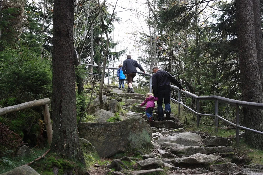 Waldhotel Achtermannstor